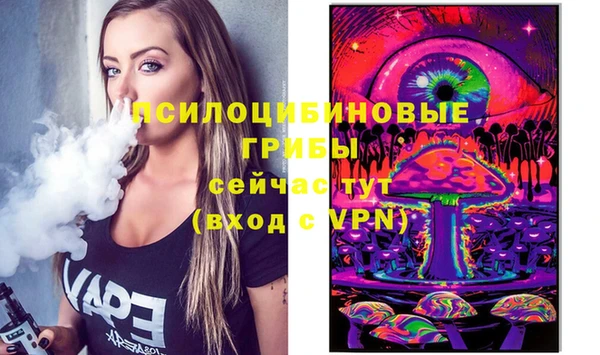 шишки Бронницы