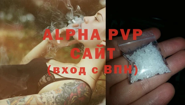 шишки Верея