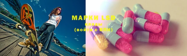 шишки Бронницы