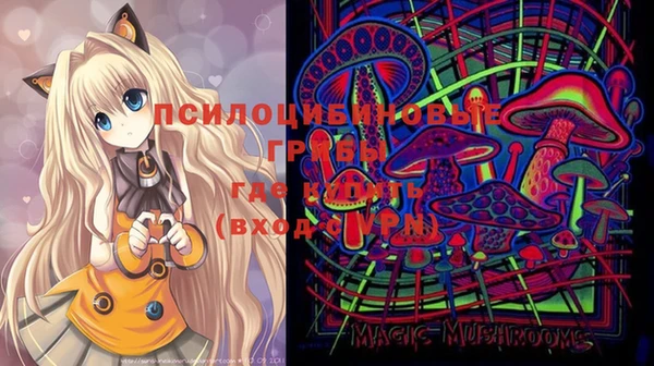 шишки Бронницы